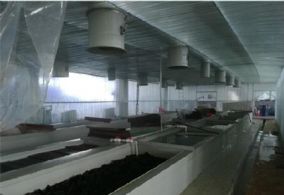 Resistance band manufacturing plant 5