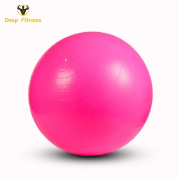 55cm 65cm 75cm Anti Burst Balance Exercise Ball with Pump Fitness GYM Yoga Ball