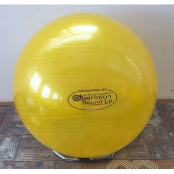55cm 65cm 75cm ECO friendly Anti Burst Gym Fitness Exercise Yoga Ball Pilates Ball