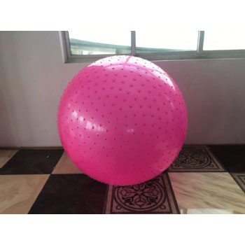 75cm Anti-burst Stability Gymnastic Exercise Yoga Ball