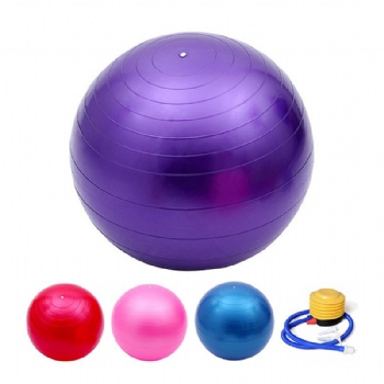 Anti-burst Fitness Exercise Stability Swiss Yoga Ball with pump